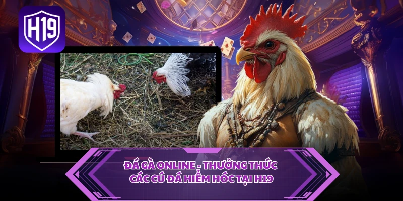 Đá Gà Online - Thưởng Thức Các Cú Đá Hiểm Hóc Tại H19